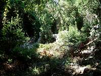 DSCF0146.jpg