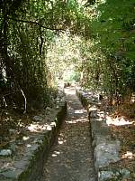 DSCF0150.jpg