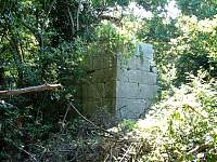 DSCF0156.jpg