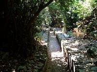 DSCF0157.jpg