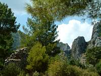 DSCF0160.jpg
