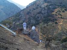 A2350.jpg