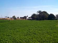 DCP02405.JPG