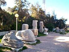 DCP02516.JPG