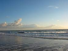 100-0043_IMG.jpg