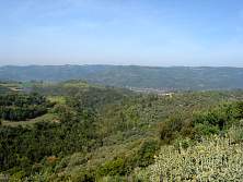 GA0549.JPG