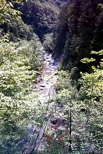 GC0009.jpg