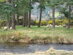 IMG_1406.jpg