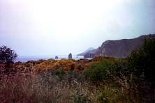 C0005.jpg