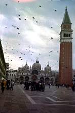 C0009.jpg