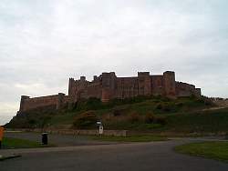 Nic017.JPG