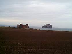 Nic019.JPG
