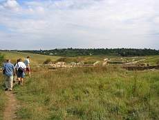 IMG_2064.jpg