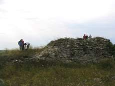 IMG_2067.jpg