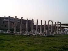 DCP02540.JPG