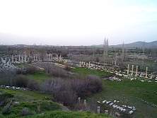 DCP02575.JPG