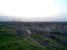 DCP02576.JPG