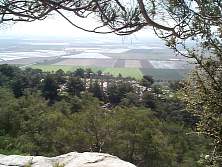DCP02580.JPG