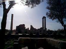 DCP02599.JPG