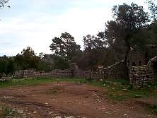 DCP02626.JPG